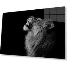 Aslan Cam Tablo 4 mm Dayanıklı Temperli Cam