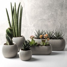 Ddtrend Dekoratif 5 Parça Modern Mercan Saksı Seti Hobi Bahçe Kaktüs Ve Sukulent Bitki Saksısı 1 Adet