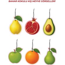 6 Adet Yaz Meyve Işıltısı Bahar Kokulu , Araba Kokusu Oto Kokusu Torpido Aksesuarı