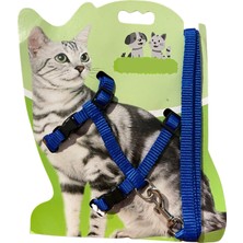 Kedi Gezdirme Göğüs Tasması Kedi Tasması