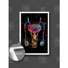 Renkli Erkek Üreme Sistemi Üroloji Doktoru Muayenehane Dekor Çerçeveli Dikey Kanvas Tablo