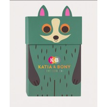 Erkek Çocuk Rakun Desenli 2'li Kutulu Çorap