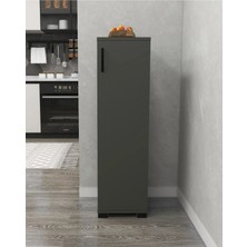 Irmak Mobilya Modern Tasarımlı Çok Amaçlı Tek Kapaklı Mini Dolap Antrasit 110 cm 3 Raflı