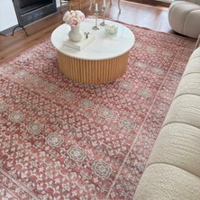 Cool Halı Hanedan Kiremit Rengi Halı Klasik Desenli Afgan Halı Dokuma Makine Halısı Oturma Odası Salon Halısı
