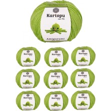 10 Adet Amigurumi El Örgü Ipi 50GR 404