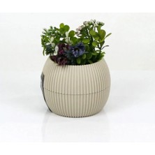 Mercan Saksı 11.5X12 cm 0.70 Lt