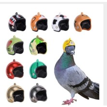 Gùvercın Bas Kaskı