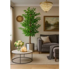 Yapay Benjamin Ağaç 1.50 Metre Lux Xl Gold Kemerli Saksıda Dolomit Taşı Dahildir