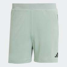 Adidas JI8191 Aırchıll Shorts