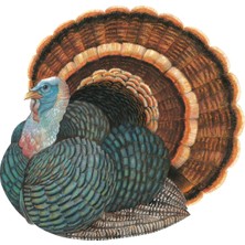 Die-Cut Heritage Turkey Placemat - 12 Sheets