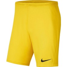 Nike Dry Park Iıı Nb Erkek Şort BV6855-719