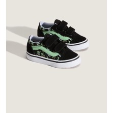 Old Skool V