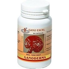 Ganoderma Reishi Mantarı Takviye Edici Gıda 90 Kapsül Kalite Doğal İçerik