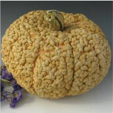 5 Adet Galeux Bal Kabağı Tohumu