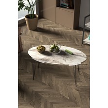 Zigon Sehpa ve Orta Sehpa Elips Set Siyah Tel Ayak Gümüş Efes
