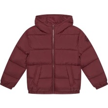 Erkek Çocuk Bordo Logo Işlemeli Kalın Mont