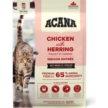 Acana Indoor Entree Tavuk ve Hindi Etli Kısırlaştırılmış Kedi Maması 4,5kg