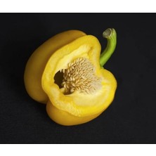20 Adet Organic Canary Yellow Bell Biber Tohumu