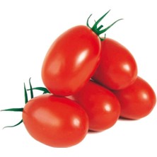 Saksılık Zeytin Domates Tohumu 40 Adet Tohum Kahvaltılık Domates Tohumu