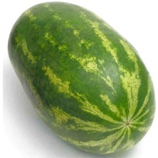 Meşhur Diyarbakır Karpuzu Tohumu 10 Adet Tohum Karpuz Tohumu