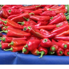 20 Adet Tatlı Kırmızı Biber Tohumu