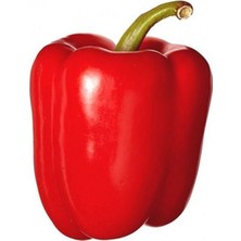 Büyük Kırmızı Dolmalık Biber Tohumu