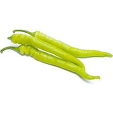 Sarı Sivri Turşuluk Biber Tohumu 25 Adet Tohum