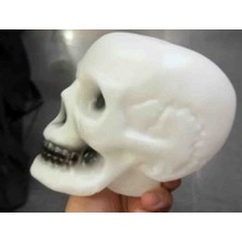 Plastık Kuru Kafa