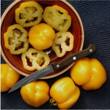 Yellow Ruffled Domates Tohumu