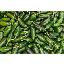 20 Adet Early Jalapeno Biber Tohumu