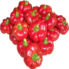 Peynir Biberi Tohumu / 10+Tohum