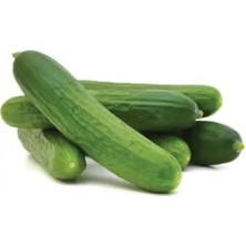 Meşhur Çengelköy Salatalık Tohumu 20 Adet Tohum Geleneksel Hıyar