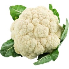 Karnabahar Tohumu 50 Adet Tohum Karnıbahar