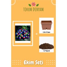 Çok Nadir Himalaya Orkide Çiçeği Tohumu Ekim Seti