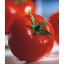 Agrobazaar Sofralık 2274 Domates Tohumu 50 Tohum
