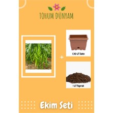 Kıl Acı Biber Tohumu Ekim Seti