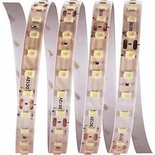 5 Metre Cata Ct 4540 Iç Mekan 12V 120 Ledli Şerit LED 3200K Gün Işığı