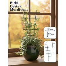 Bitki Desteği Saksılar İçin Plastik 57*31cm