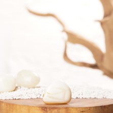 Süt Opal (Panzehir Taşı) Doğal Taş Kütle