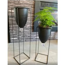 Tasarım Evi Metal Ayaklı Dekoratif Saksı 2'li Modern Tasarım Metal Malzeme ile Şık Kullanım