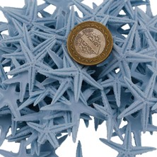 Polyester Deniz Yıldızı Minik Boy  0.5 Cm- 1.5 cm (100 Adet)  Açık Mavi