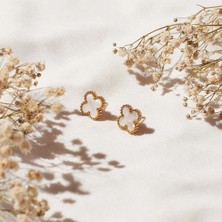 Altın Kaplama Sedef Renk Çelik Cleef Küpe