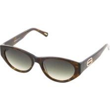 Osse Y OS3433 Col3 Kadın Güneş Gözlüğü