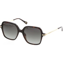 Osse Y OS3528 COL02 Kadın Güneş Gözlüğü