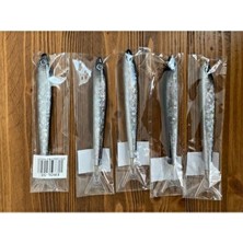 Hamsi Kalem 5 'li Tükenmez