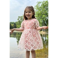 Baby Animals Kız Bebek Dantelli Kısa Kol Elbise Doğum Günü ve Parti İçin Pudra Renk Kloş Silüet