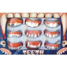 Ekonomık Kalıtelı Vampır Dìsler  9 Adet Dìs