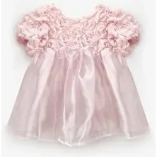 Gülkurusu  Gül Detaylı Tül Etekli Kız Çocuk Elbise - Nelia