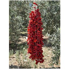 Tatlı Kale Biberi (Bir Dizide Yaklaşık 35-42 Adet) – Doğal ve Aromatik