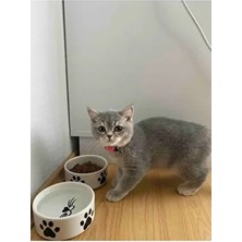 2 Adet Yüksek Kalite (12.5 Cm, 400 Ml) Seramik Kedi ve Köpek Mama Su Kabı